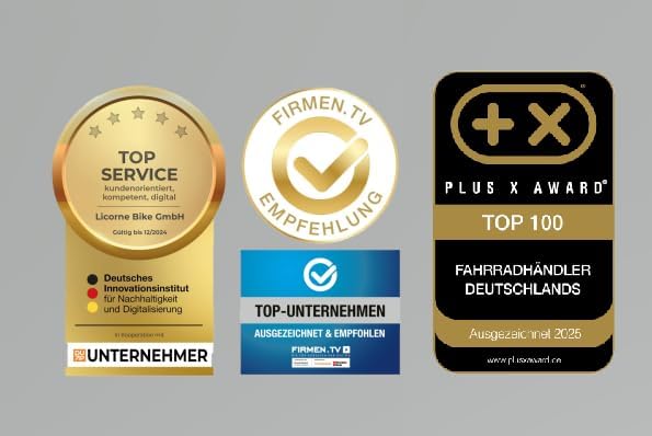 41QSY31zvwL._AC_ Licorne Bike Strong 2D – 26/27,5/29 Zoll Premium Mountainbike, Vollfederung, 21-Gang, Scheibenbremsen für Kinder, Jugendliche & Erwachsene