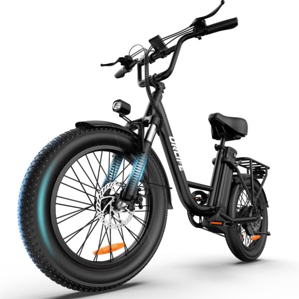 URLIFE E20 E-Bike – 20 Zoll Fat Tyres, 250W Motor, 48V 13Ah Akku, bis zu 100 km Reichweite, 7-Gang City E-Bike für Erwachsene